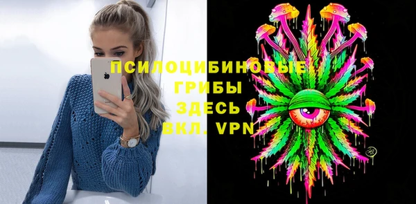 МДПВ Богданович