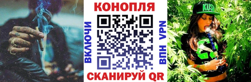 Бошки марихуана планчик  hydra сайт  Кольчугино 